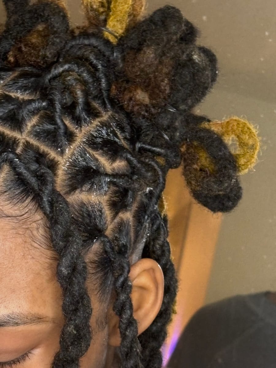 Loc updo with honey-blonde barrel knots, close up